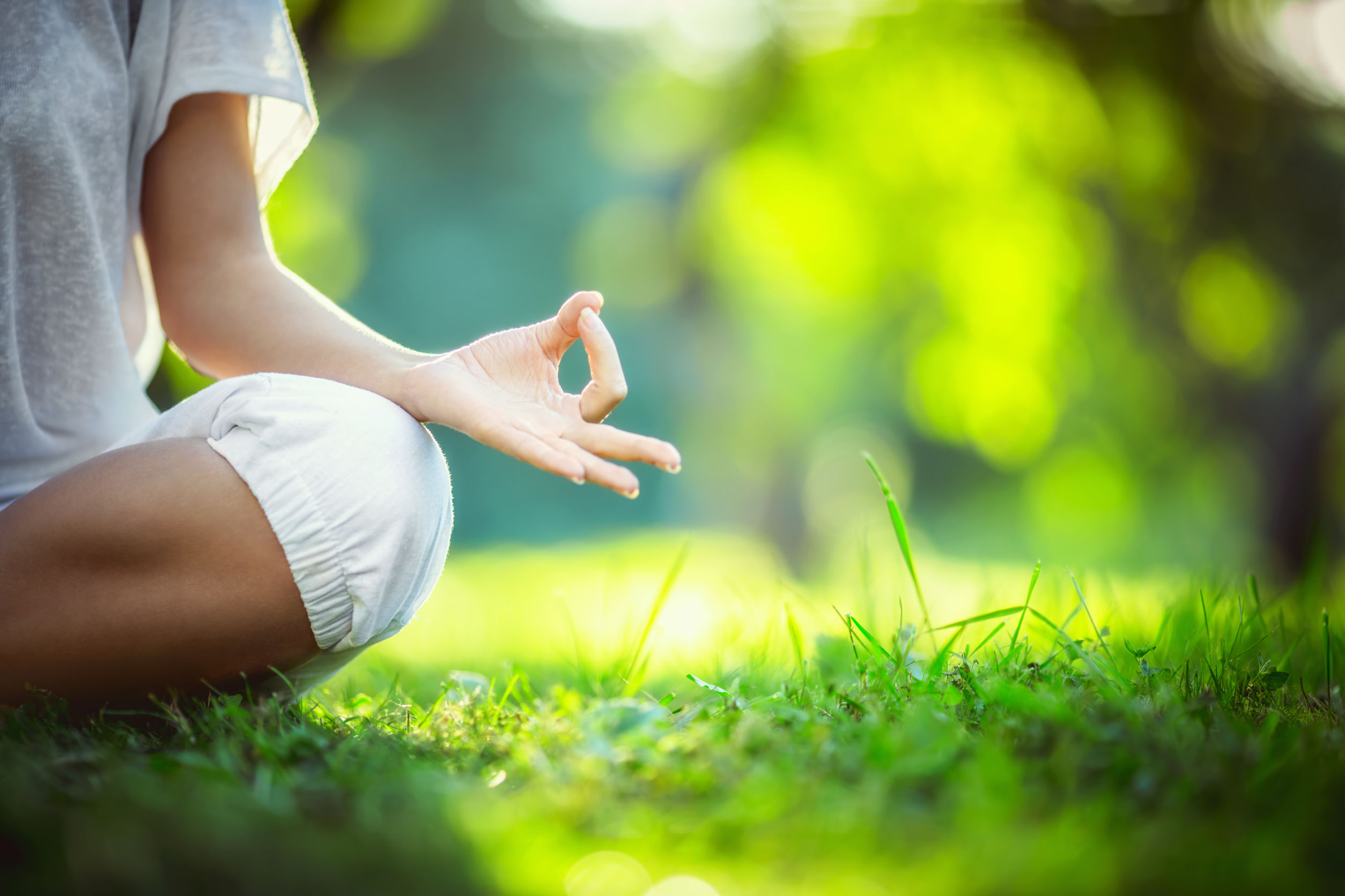 How to Incorporate Aromatherapy into the Shower Meditation Experience with Mindful Cleansing